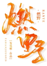 燃野少年的天空口碑