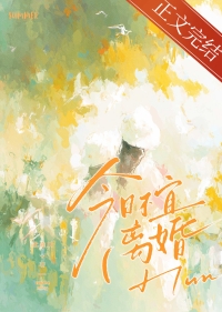 今日不宜离婚小说免费阅读