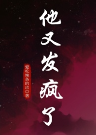 他又疯魔了 小说