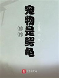我的宠物是乌龟的作文