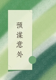 预谋已久的意外的意思