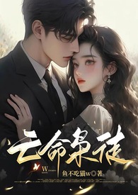 亡命枭徒小说评价