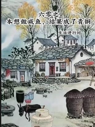 六零之发家致富